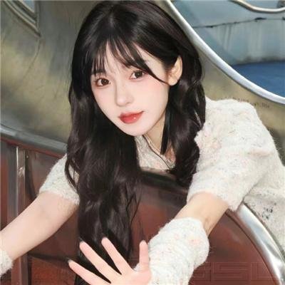 躲在阁楼的安妮·法兰克